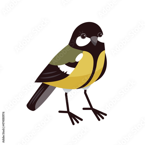 Great tit in cartoon style isolated on a white background. City birds, tomtit. Parus major. 