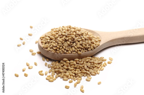 Wheat kernels, grains pile in wooden spoon isolated on white background, side view 