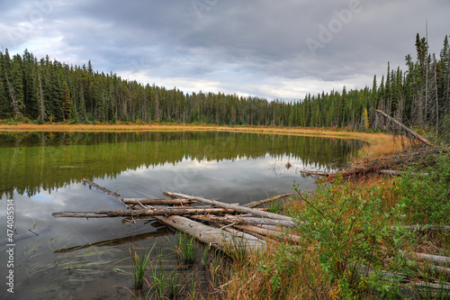 Beautiful grass green lake reflection of forest at Goldeye Lake near Nordegg, Alberta, Canada  photo