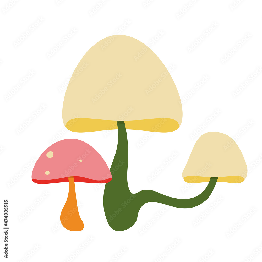 Different mushrooms in flat style. Beautiful nature object