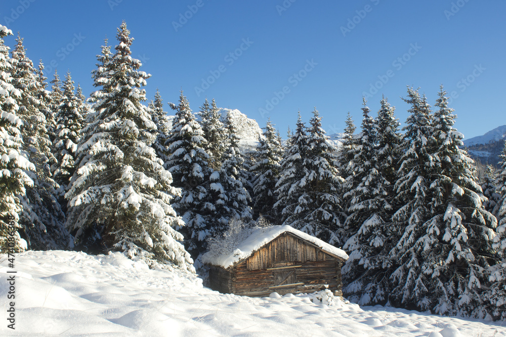 Beautiful winter morning in norwegian mountains,pine tree covered with snow near Hemsedal,Norway,ecological place,scandinavian lifestyle,horizontal wallpaper,calendar,poster,print for wall canvas. Beautiful winter morning in norwegian mountains,pine tree covered with snow near Hemsedal,Norway,ecological place,scandinavian lifestyle,horizontal wallpaper,calendar,poster,print for wall canvas.