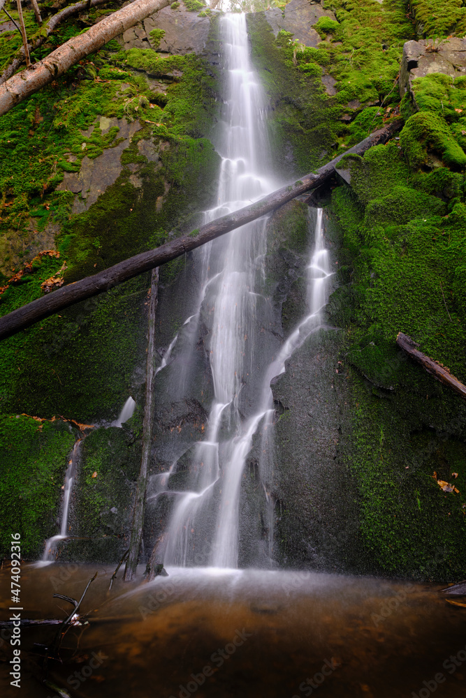 waterfall in the forest