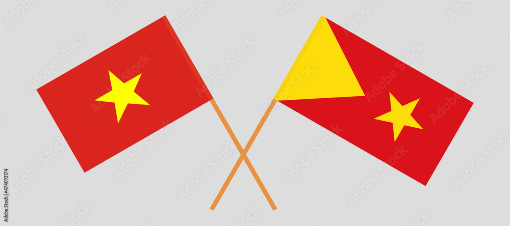Crossed flags of Vietnam and Tigray. Official colors. Correct proportion Crossed flags of Vietnam and Tigray. Official colors. Correct proportion