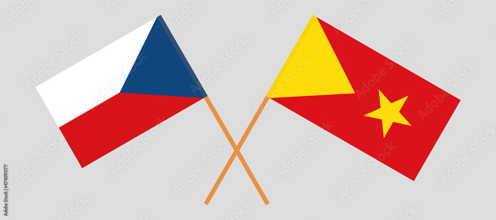 Crossed flags of Czech Republic and Tigray. Official colors. Correct proportion Crossed flags of Czech Republic and Tigray. Official colors. Correct proportion