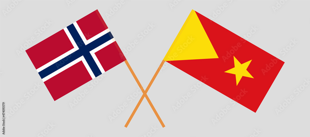 Crossed flags of Norway and Tigray. Official colors. Correct proportion