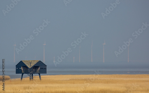 Birdwatching house in the Wadden Sea between the northern Netherlands and Germany photo