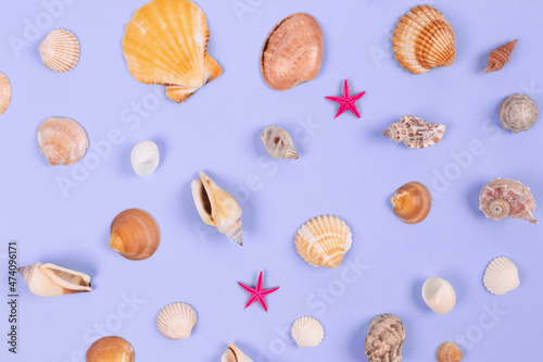 Color of the year 2022 concept. Mix of sea shells on lilac background. Summer time vacations. Selective focus