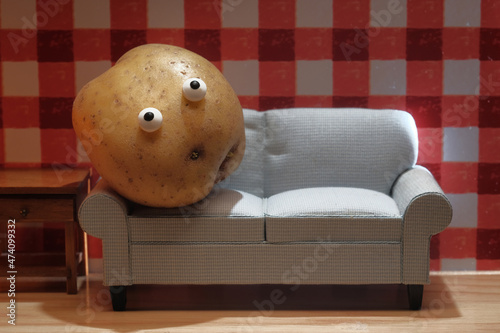 Lazy Couch Potato © Ezume Images