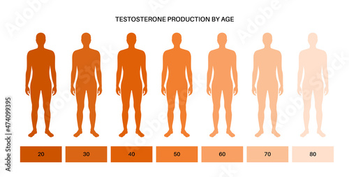 Testosterone level chart