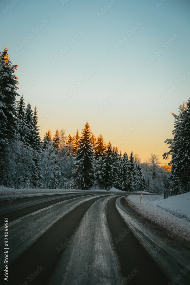 Fototapeta premium Winter forest road