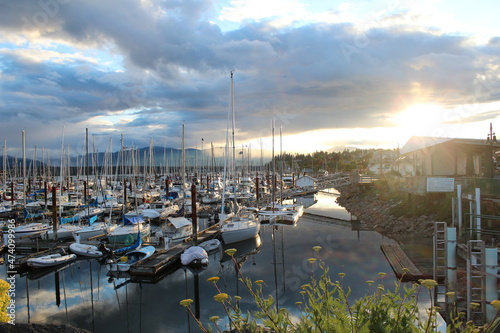 boats in the marina