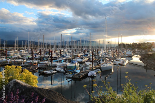 boats in the harbor