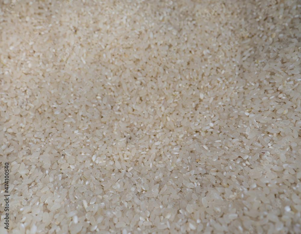 Round grain rice. Grain background. white rice Round grain rice. Grain background. white rice