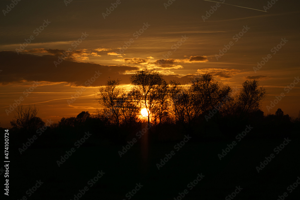 Naklejka premium Sunset with burning sky behind the trees.