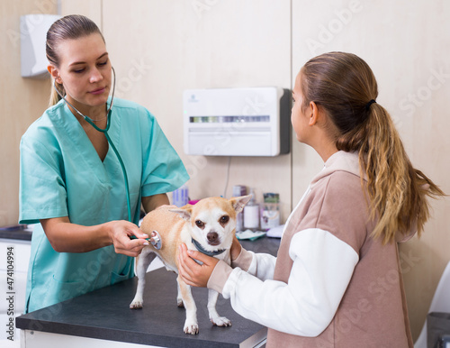 Teenager girl with little dog asking for professional advice from veterinarian. High quality photo