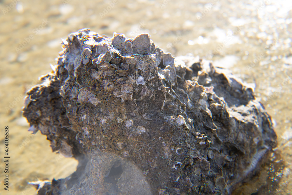 stone on the beach