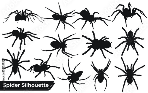 Collection of animal Spider Silhouette in different poses