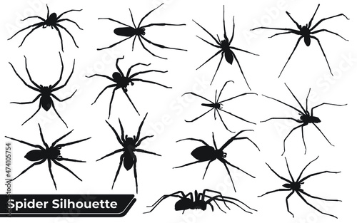 Collection of animal Spider Silhouette in different poses © Adopik