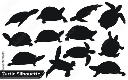 Collection of animal Turtle Silhouette in different poses