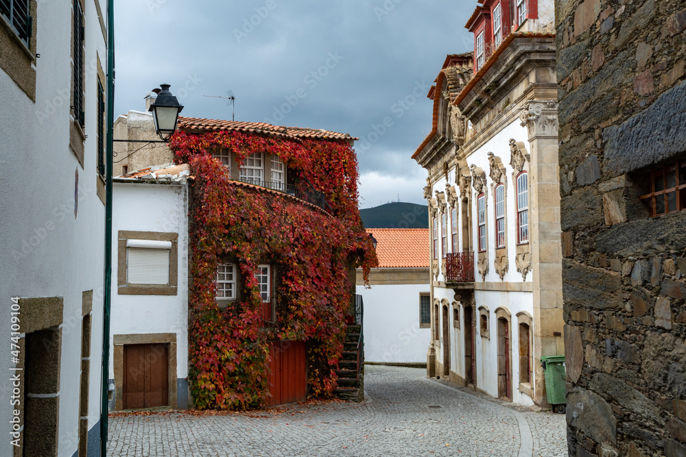 View of old village Provesende in heart of Douro river valley in autumn, wine making industry in Portugal