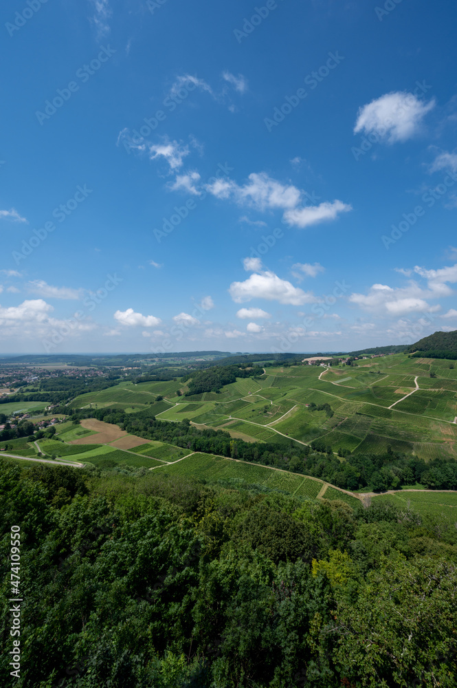 Panoramic view on green hilly vineyards near wine village Chateau-Chalon in Jura, France