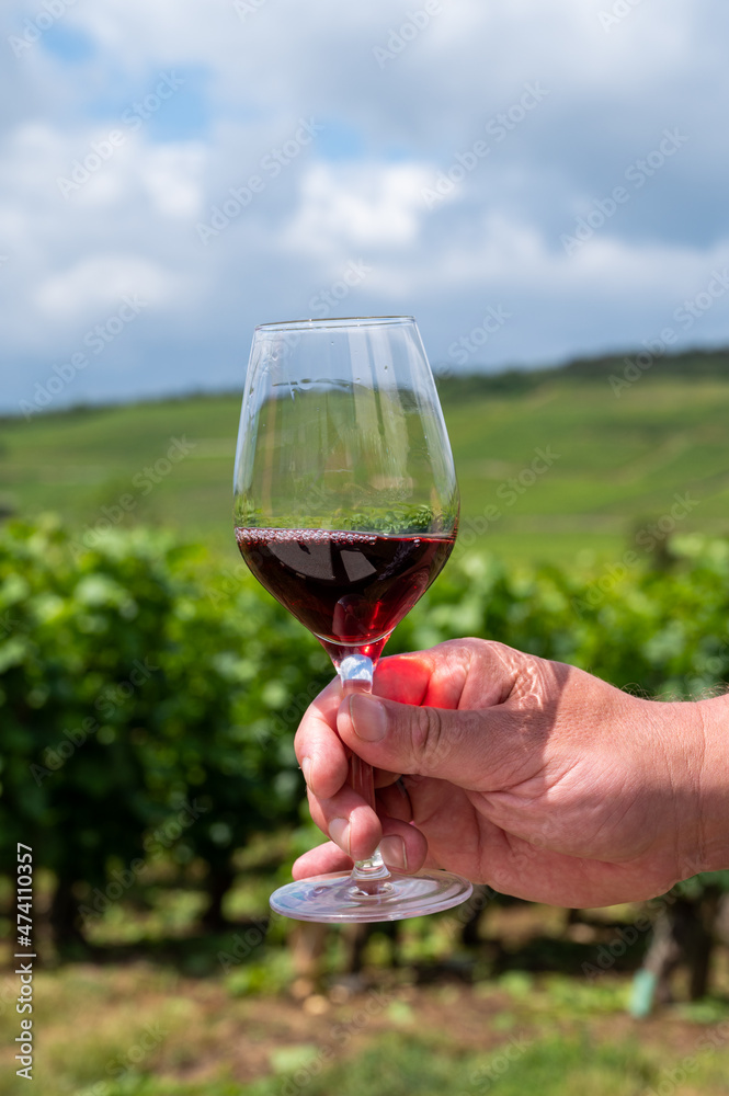 Tasting of burgundy red wine from grand cru pinot noir  vineyards, hand with glass of wine and view on green vineyards in Burgundy Cote de Nuits wine region, France