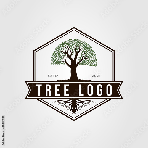 oak or banyan tree with root logo vector illustration design. nature symbol on hexagon badge