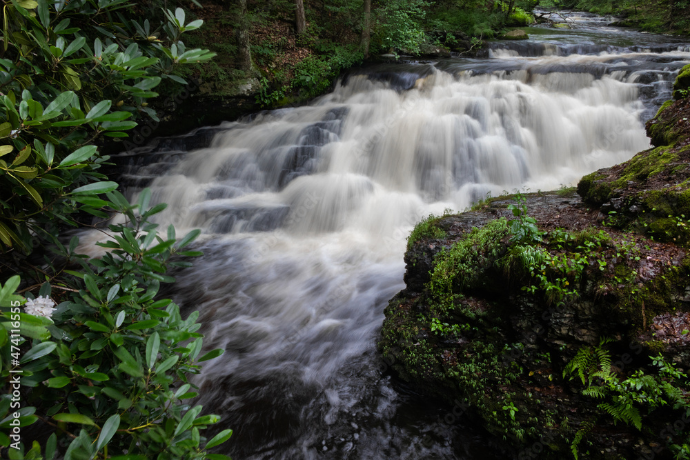 Beautiful Step Waterfall Cascading at Bushkill Falls Pennsylvania Beautiful Step Waterfall Cascading at Bushkill Falls Pennsylvania