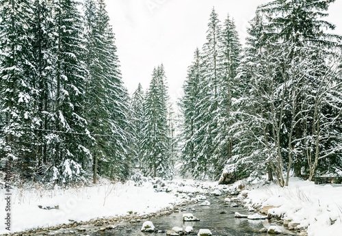 View of the nearby mountains follows the road to the Sea Eye in winter, Zakopane