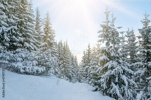 View of the nearby mountains in winter, Zakopane