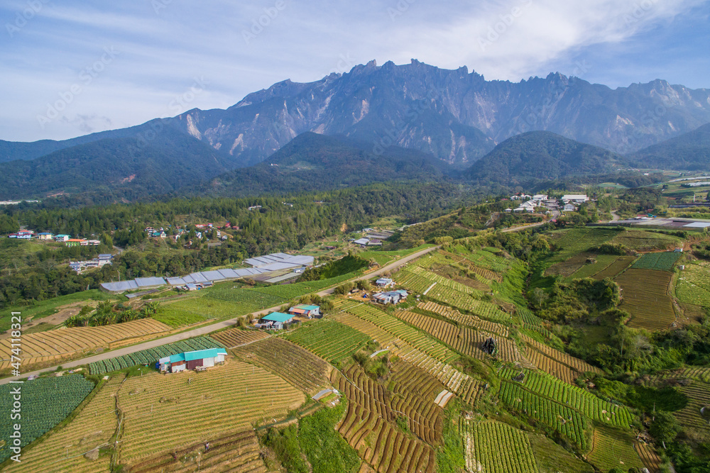 Fototapeta premium aerial view of Kundasang Sabah landscape with cabbage farm and Mount Kinabalu at far background during morning.