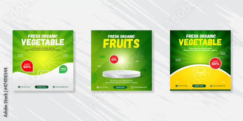  Fresh organic vegetable delivery social media post template