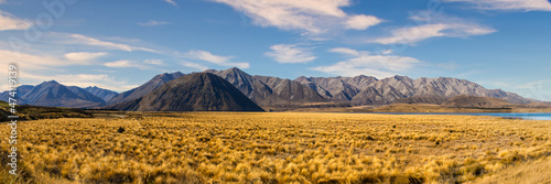 The golden tussock grassland at Lake Heron in the Ashburton lakes district bordered by the Southern alps mountain range