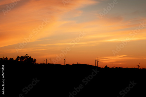 sunset over the field