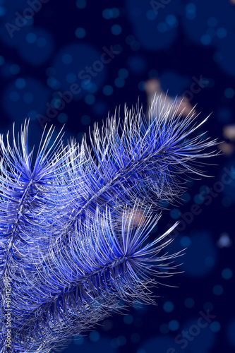 Сhristmas decoration on blue background
