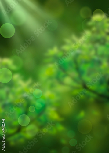 blurry nature beautiful background with green leaves illustration