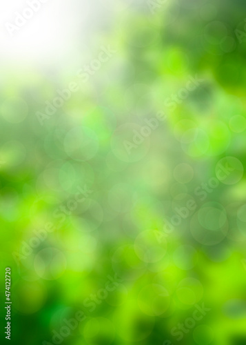 blur nature background with green leaves and morning light illustration 