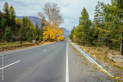 Colorful autumn landscape with birch tree with yellow leaves in sunshine near mountain highway. Bright alpine scenery with mountain road and trees in autumn colors. Highway in mountains in fall time.