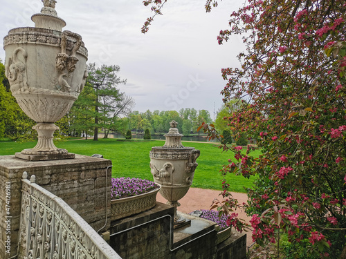 A flowerbed with pink and lilac viola next to the vases of the Elaginoostrovsky Palace and an apple tree with red flowers on the background of the park on Elagin Island in St. Petersburg. photo