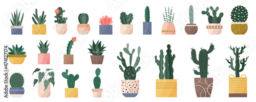 Trendy set of home cute cacti plants in flowerpots pack icons. Collection of mini cacti succulent plants and tall home decor cactus in pots modern illustrations. Flat cartoon swiss trend graphic style
