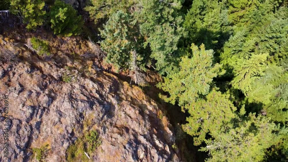 Wesley Ridge Mountain on Vancouver Island Canada