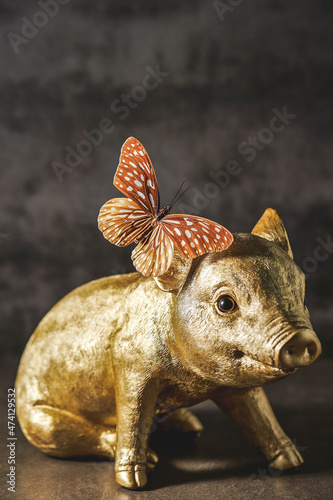 Gold piggy bank and butterfly specimen