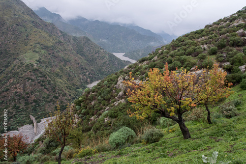 Tableau sur toile Panorama dall'alto del Torrente Amendolea visto dal vecchio borgo