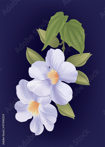 Laurel clockvine flower on dark blue background. Vector set of blooming tropical floral for holiday invitations, greeting card and fashion design.
