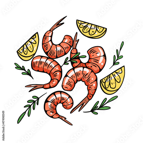 Shrimps hand drawn colorful realistic vector illustration.