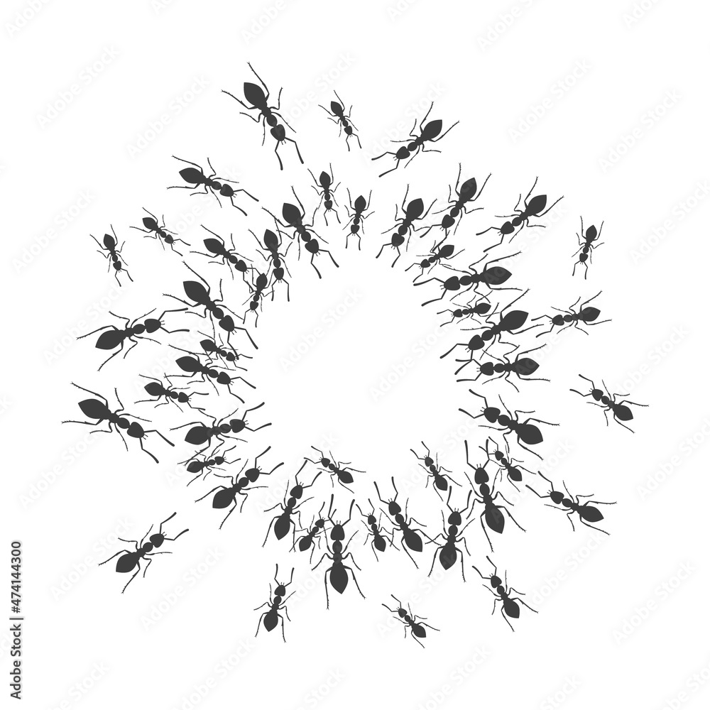 Obraz premium A colony of ants gathers in a circle. A group of insects around a place for a text. Vector