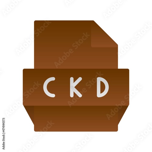 Ckd Flat Gradient Vector Icon Design