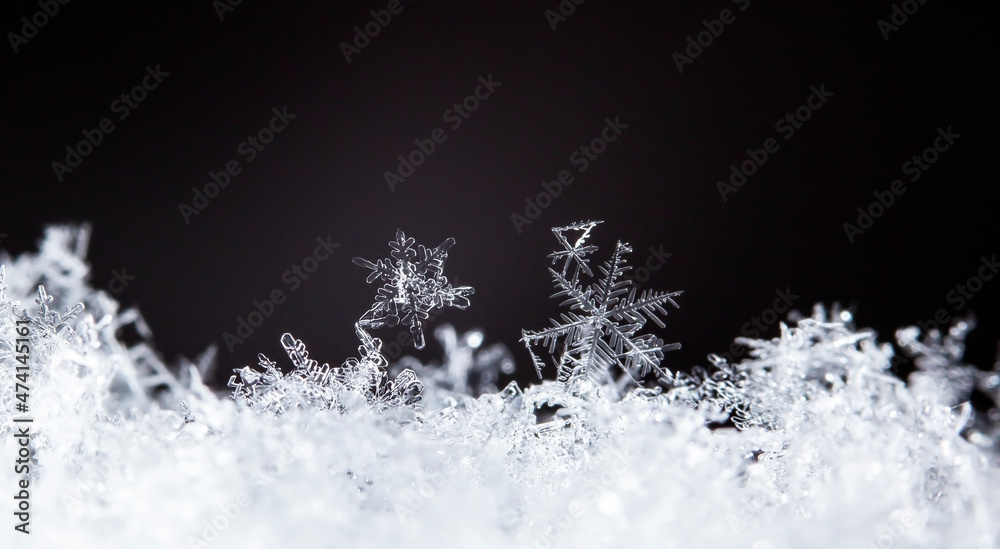 Beautiful ice crystal lies in the snow, Christmas And Winter Background
