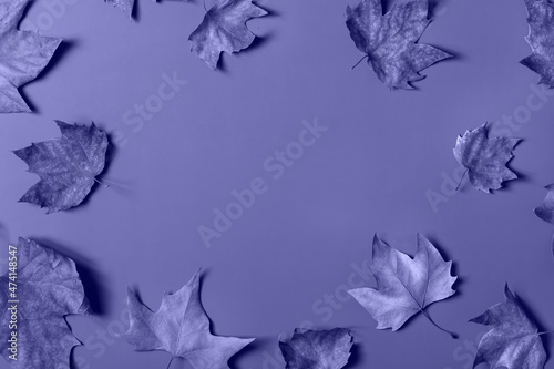 Autumn fall thanksgiving day composition with decorative dried leaves