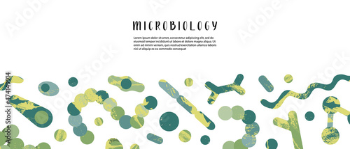 Microbiology, bacteriology. Bacteria, microorganism: coccus, bifidobacterium, clostridium, streptococcus, staphylococcus, spirillum, corynebacterium, spirochete. Vector flat cartoon banner